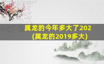 属龙的今年多大了202(属龙的2019多大)