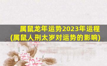 属鼠龙年运势2023年运程