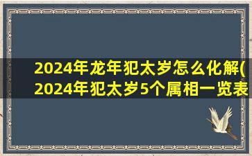 2024年龙年犯太岁怎么化