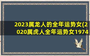 2023属龙人的全年运势女