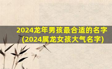 2024龙年男孩最合适的名字