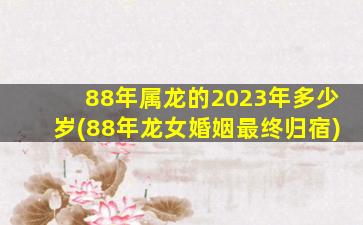 88年属龙的2023年多少岁