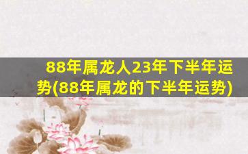 88年属龙人23年下半年运