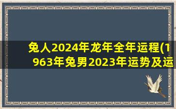 兔人2024年龙年全年运程