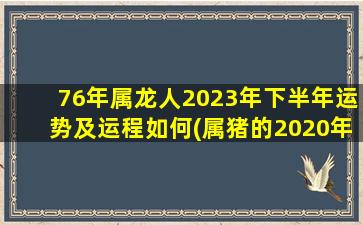 76年属龙人2023年下半年运势及运程如何(属猪的2020年运势怎么样)