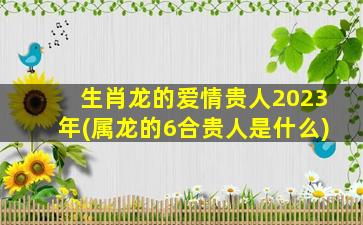 生肖龙的爱情贵人2023年(属龙的6合贵人是什么)