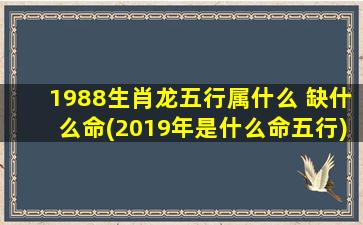 1988生肖龙五行属什么 缺什