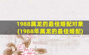 1988属龙的最佳婚配对象