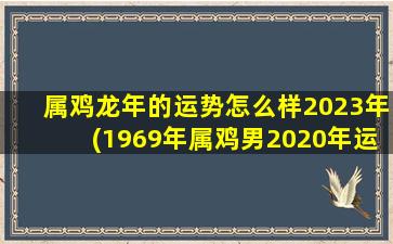 属鸡龙年的运势怎么样2