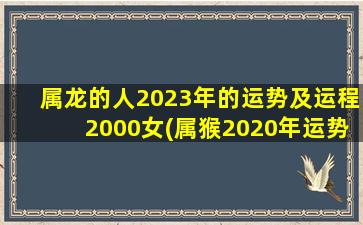 属龙的人2023年的运势及运