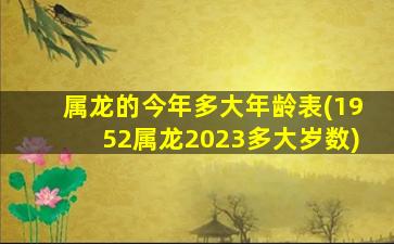 属龙的今年多大年龄表