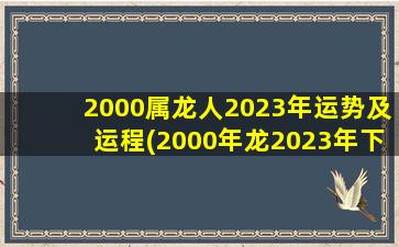 2000属龙人2023年运势及运程