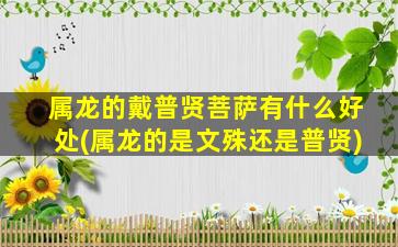 属龙的戴普贤菩萨有什么