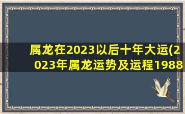 属龙在2023以后十年大运