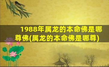 1988年属龙的本命佛是哪尊