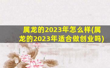 属龙的2023年怎么样(属龙