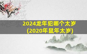 2024龙年犯哪个太岁(202