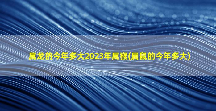 属龙的今年多大2023年属