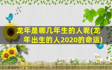 龙年是哪几年生的人呢(龙年出生的人2020的命运)