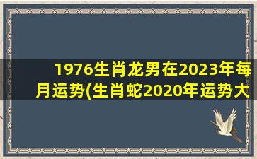 1976生肖龙男在2023年每月运