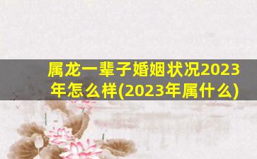 属龙一辈子婚姻状况2023年