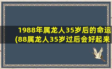 1988年属龙人35岁后的命运