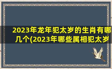 <strong>2023年龙年犯太岁的生肖</strong>