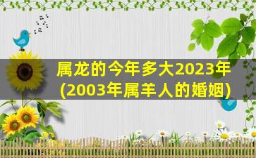 属龙的今年多大2023年(