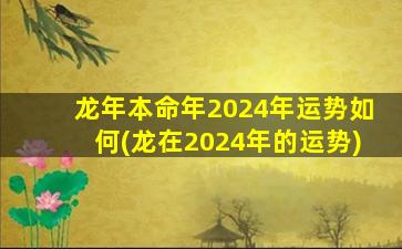 龙年本命年2024年运势如何(龙在2024年的运势)