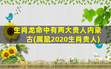 生肖龙命中有两大贵人内蒙古(属鼠2020生肖贵人)