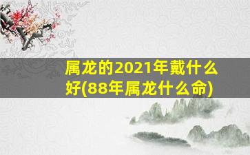 属龙的2021年戴什么好(88年