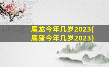 属龙今年几岁2023(属猪今年几岁2023)