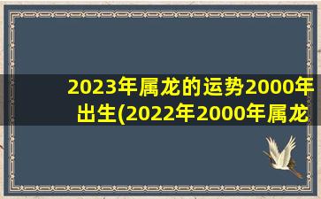 2023年属龙的运势2000年出生(2022年2000年属龙人的全年运势)