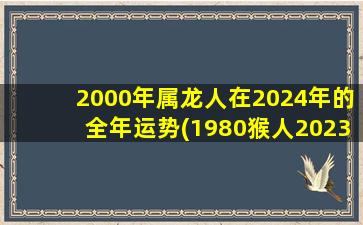 2000年属龙人在2024年的全年