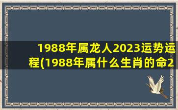 1988年属龙人2023运势运程