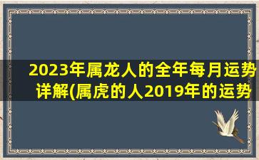 2023年属龙人的全年每月