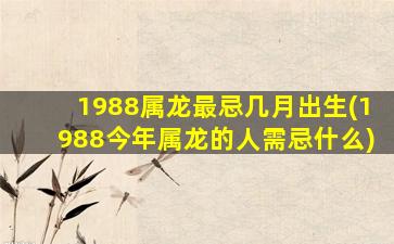 1988属龙最忌几月出生(1988今年属龙的人需忌什么)