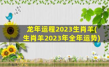 龙年运程2023生肖羊(生肖羊