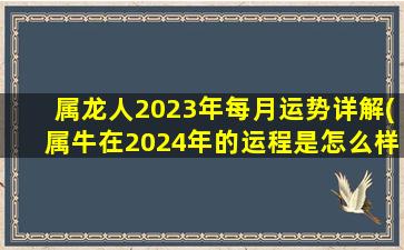 属龙人2023年每月运势详