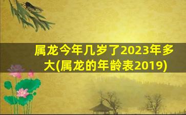 <strong>属龙今年几岁了2023年多</strong>