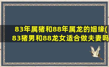 83年属猪和88年属龙的姻缘