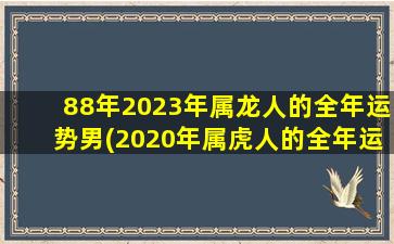 88年2023年属龙人的全年运势男(2020年属虎人的全年运势男)