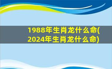 1988年生肖龙什么命(2024年生肖龙什么命)