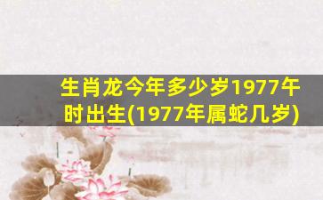 生肖龙今年多少岁1977午时出生(1977年属蛇几岁)