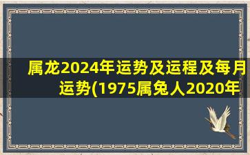 属龙2024年运势及运程及每月运势(1975属兔人2020年运势)