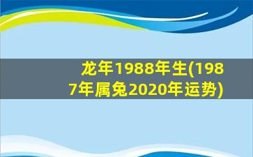 龙年1988年生(1987年属兔2