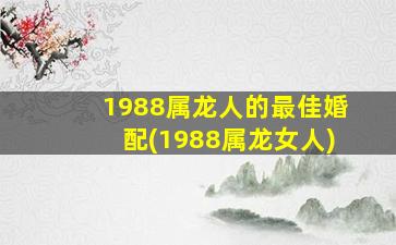 <strong>1988属龙人的最佳婚配(</strong>