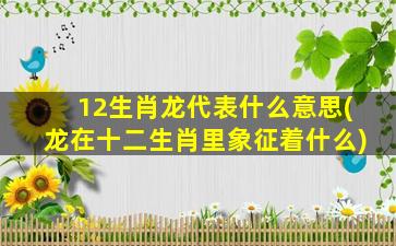 12生肖龙代表什么意思