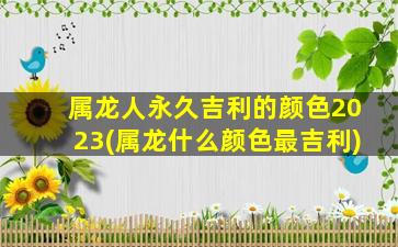 属龙人永久吉利的颜色2023(属龙什么颜色最吉利)