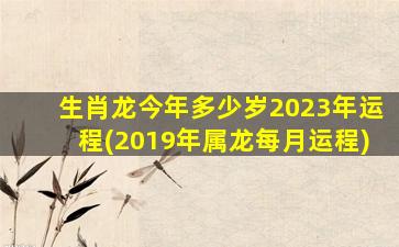 生肖龙今年多少岁2023年运程(2019年属龙每月运程)